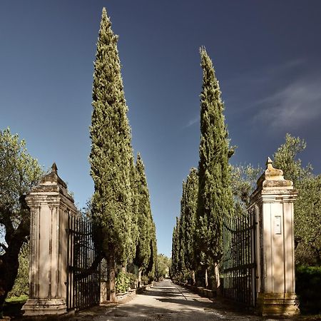 Almeira 4Acre Estate, For Unparalleled Seclusion, By Thinkvilla Zákinthosz Kültér fotó