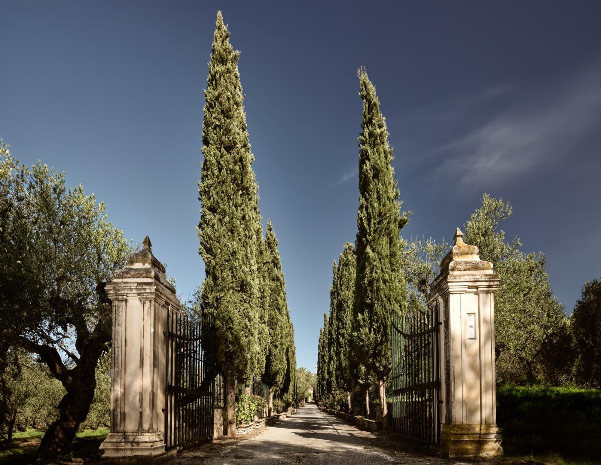 Almeira 4Acre Estate, For Unparalleled Seclusion, By Thinkvilla Zákinthosz Kültér fotó